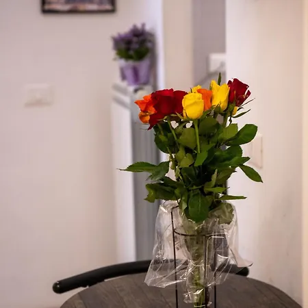 Vatican Fashion روما